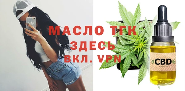 индика Богородицк