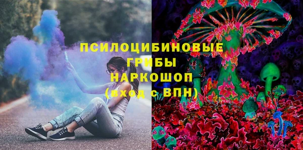 спайс Богданович
