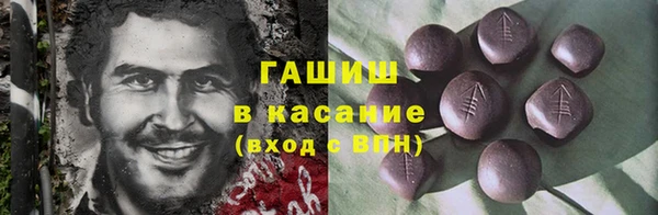 индика Богородицк