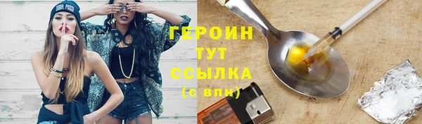 индика Богородск
