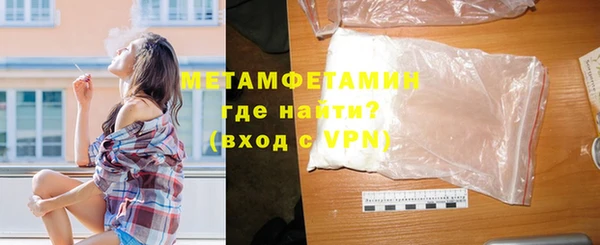 индика Богородицк