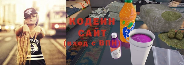 индика Богородицк