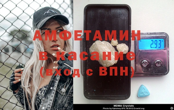 индика Богородск