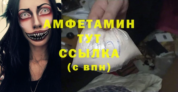 индика Богородицк