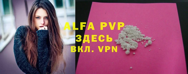 индика Богородск