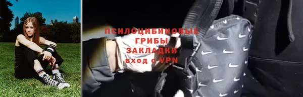 спайс Богданович