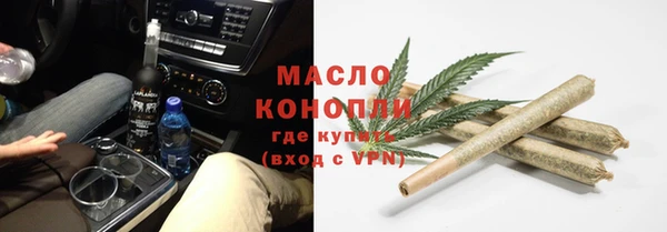 индика Богородск