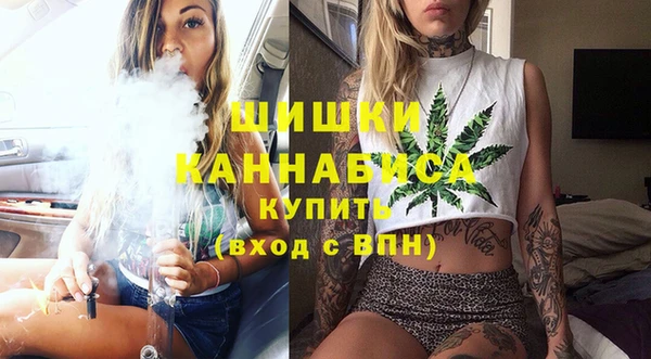 индика Богородск