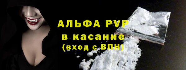 спайс Богданович