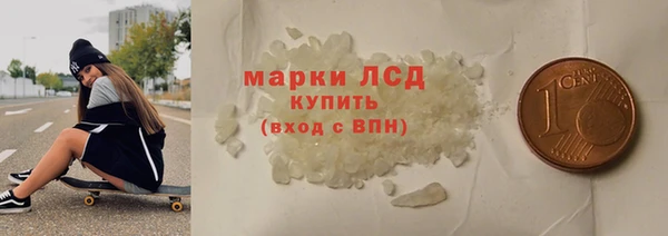 индика Богородицк