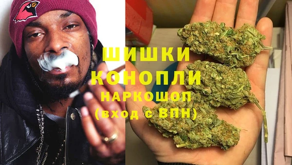 индика Богородск