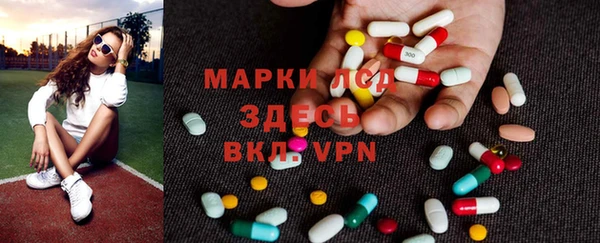 индика Богородицк