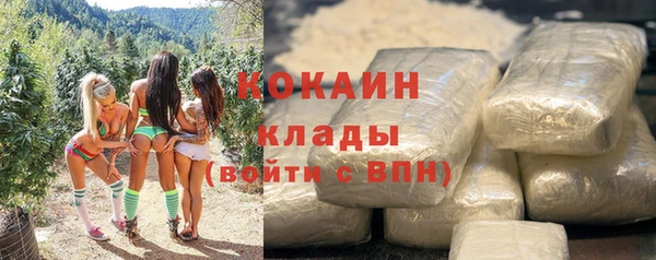 индика Богородск