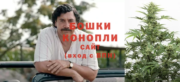 индика Богородицк
