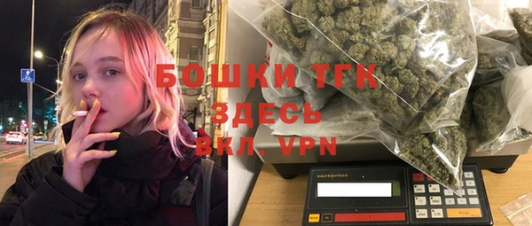 индика Богородск