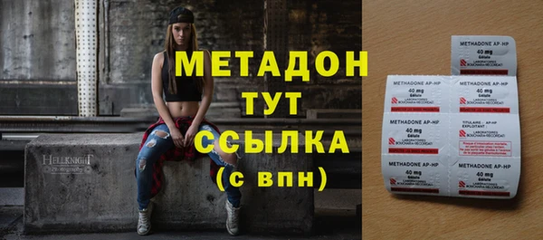 индика Богородицк