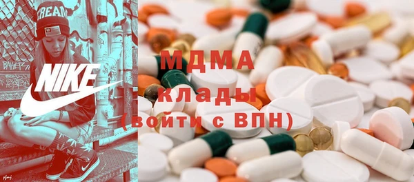 индика Богородск