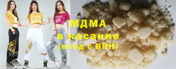 индика Богородицк