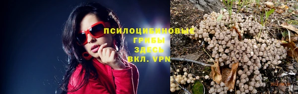спайс Богданович