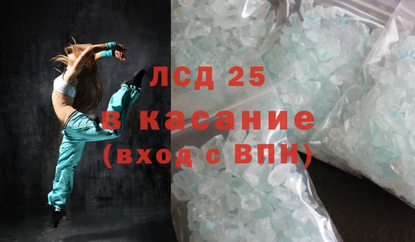 спайс Богданович