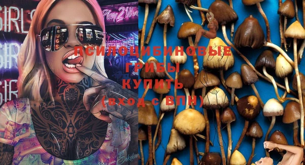 индика Богородицк