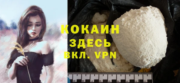 спайс Богданович