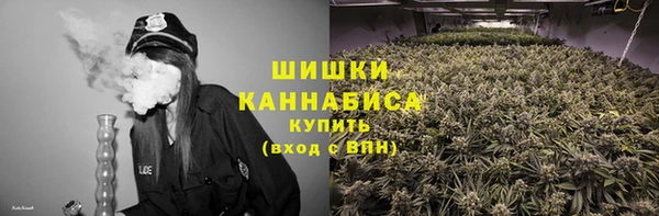 индика Богородск
