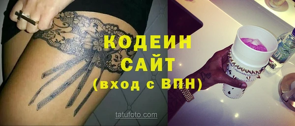 индика Богородицк